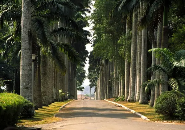 Ghana Cultural Tour - The Great Juneteenth Family Reunion